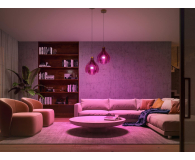 Philips Hue White and color ambiance Żarówka 2xE27 1100lm 8719514291317 - 709617 - zdjęcie 5